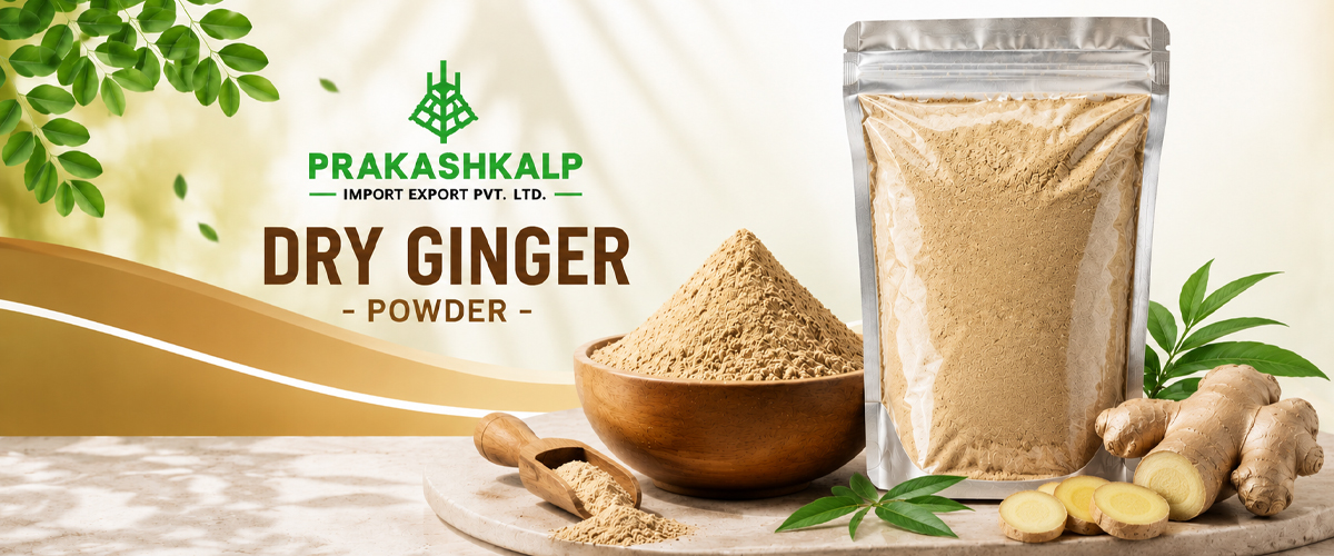Premium Dry Ginger Powder Supplier in India