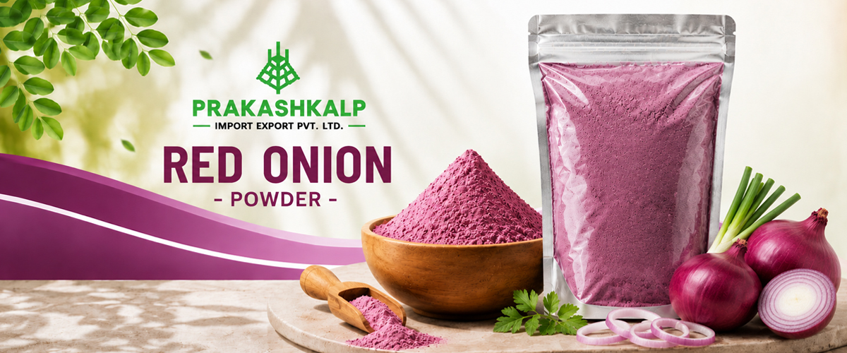 Premium Red Onion Powder Supplier in India